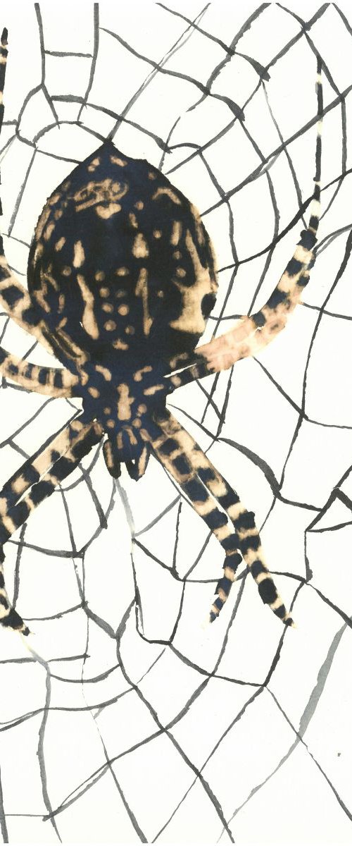 Spider I Animal Drawing by Ricardo Machado
