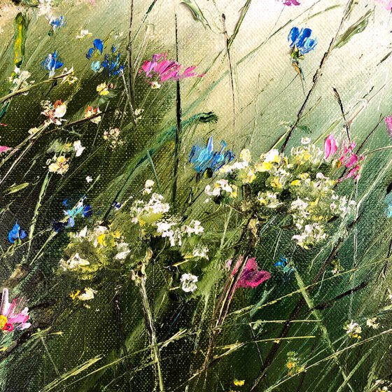 MOTLEY GRASS - Summer. Blooming meadow. Wildflowers. Landscape. Clouds. Wind. Sky. Daisies. Cornflowers.