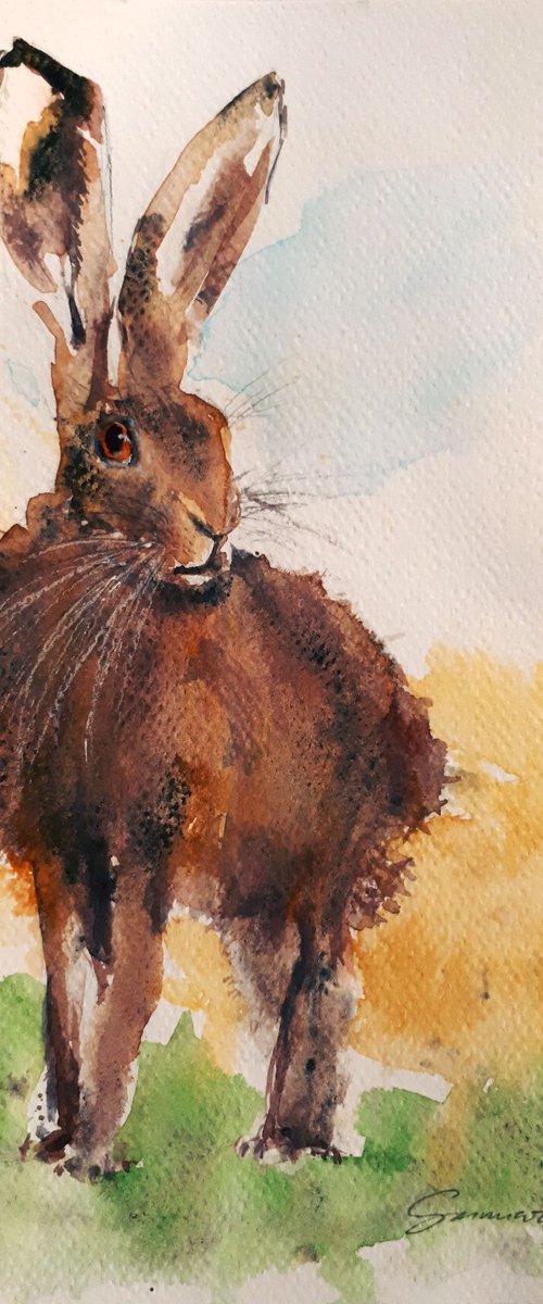 Hare I /  ORIGINAL WATERCOLOR  PAINTING by Salana Art