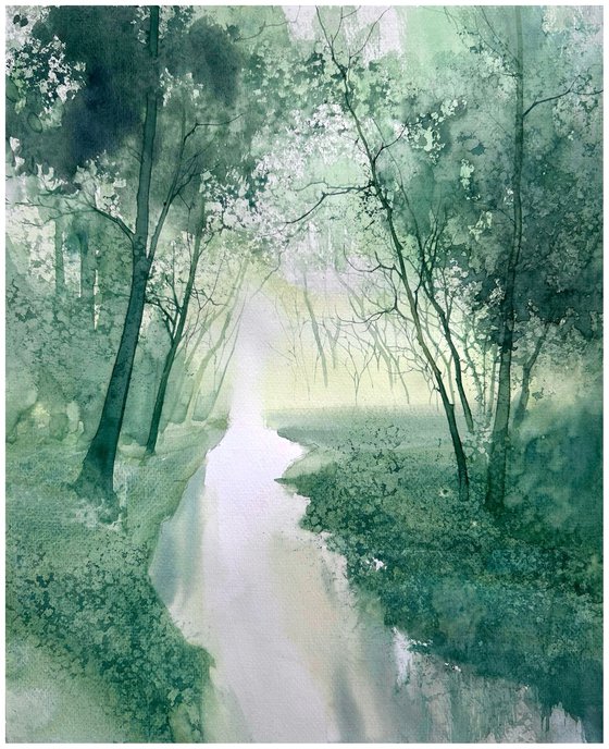 Silent Forest Stream