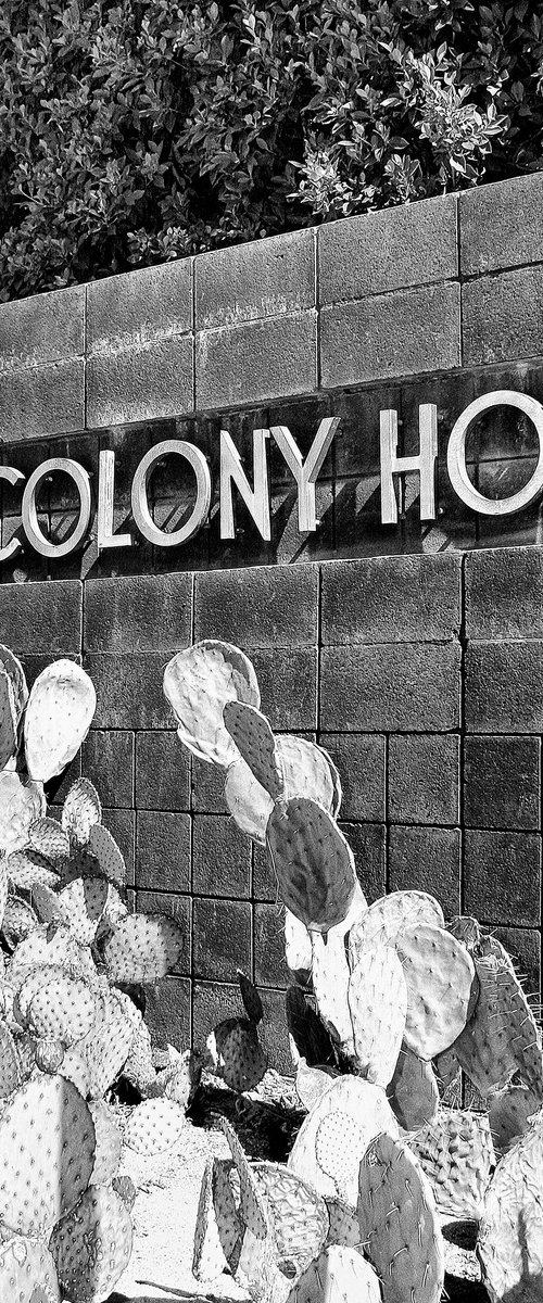COLONY ONE Palm Springs CA by William Dey