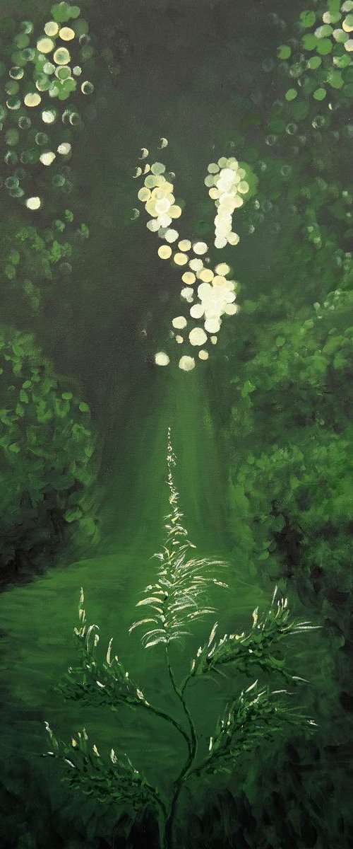 Deep into the Woods there is The Light by Danijela Dan