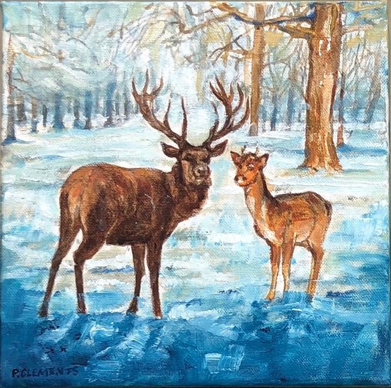 Richmond Park four seasons