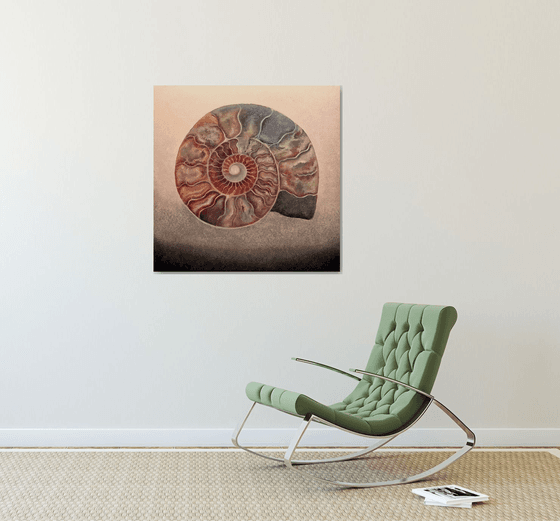 Silvery Ammonite