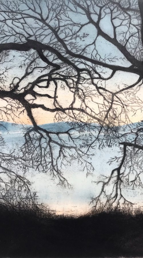 Twilight Trees by Tricia Newell