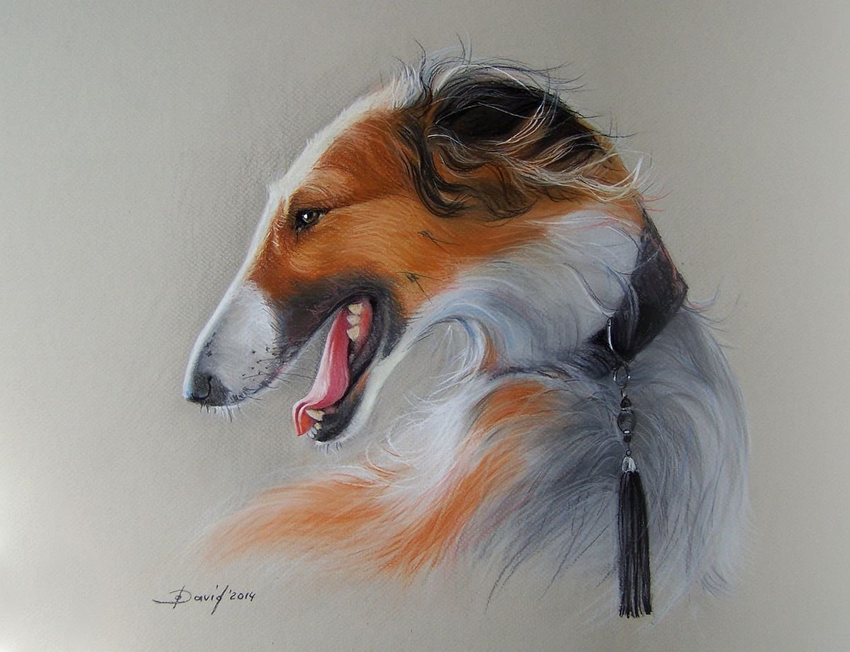 Photorealistic Animal Pastel Drawing By Olga David, 19 X 15", Portrait Des Russischen Barsoi, Original Artwork