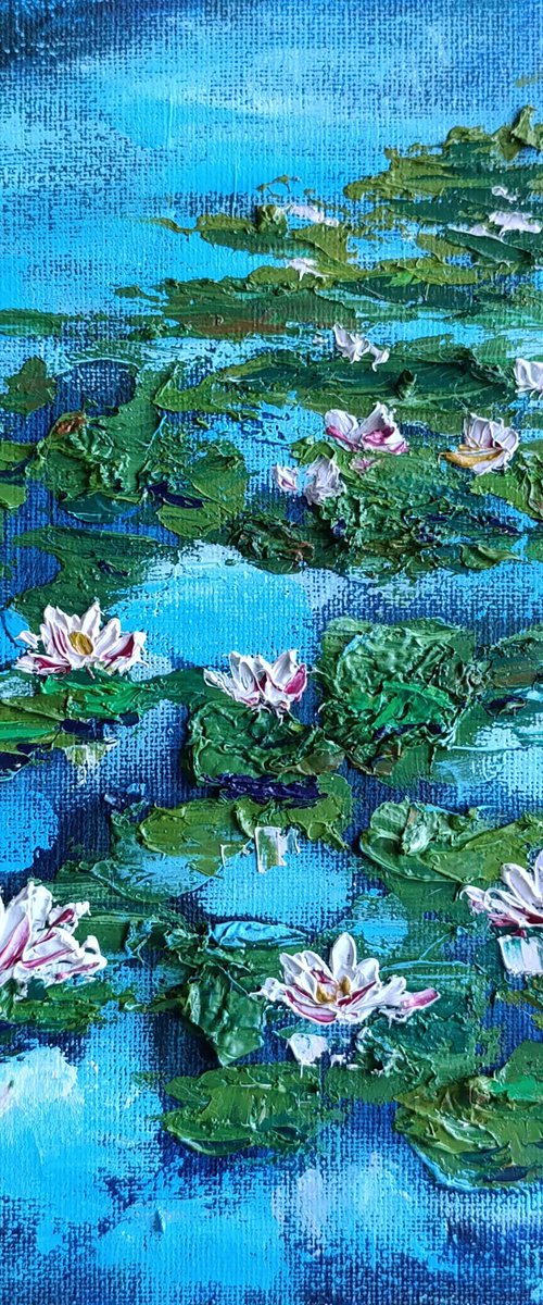 Pond ... Water Lilies by Salana Art / Svetlana Samovarova