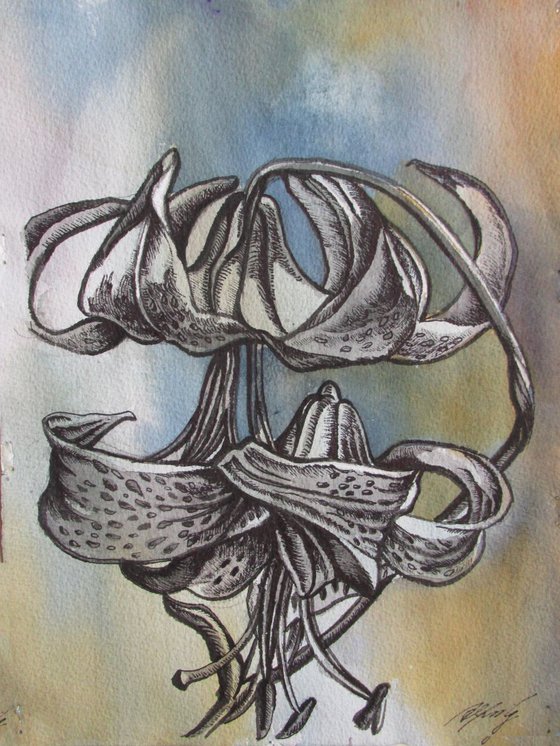 Tiger lily