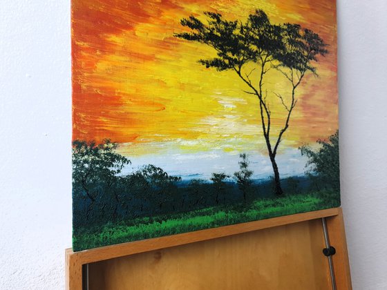 Sunny tree