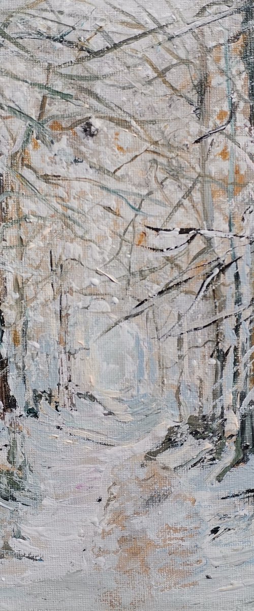 Winter landscape by Snezana Djordjevic