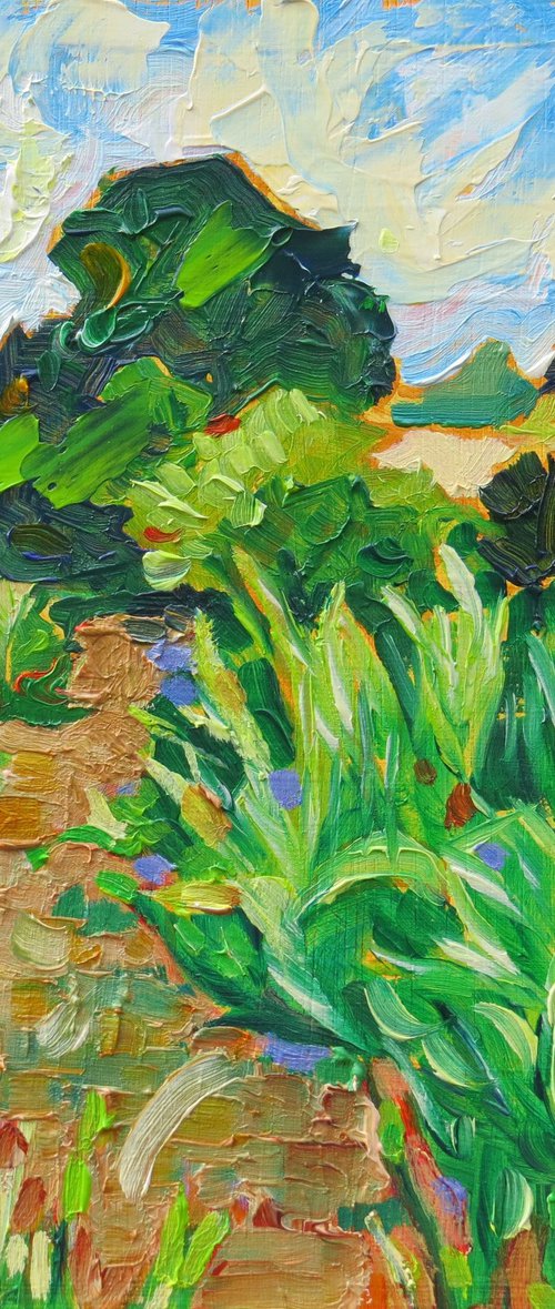 Harvest Fields by Mary Kemp