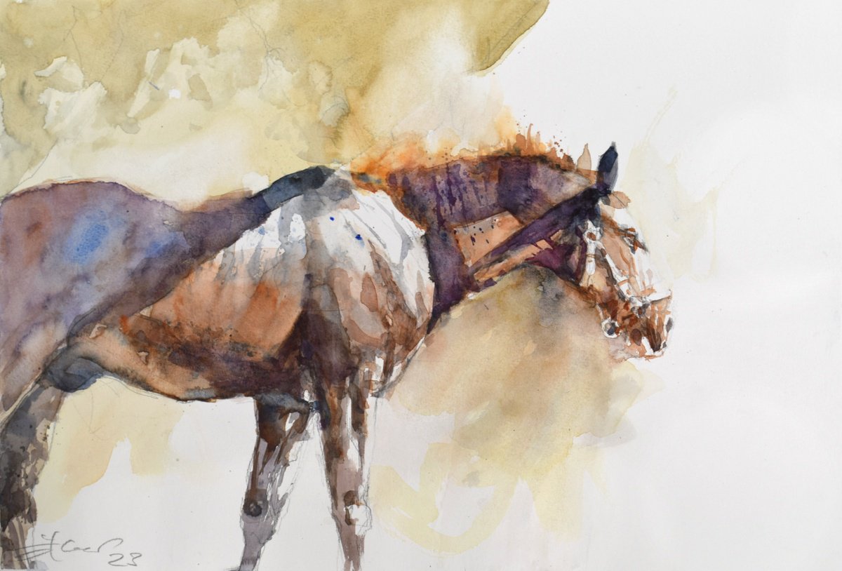 Expressive Animal Watercolour By Goran Zigolic Watercolors, 20 X 13, Horse Steam 8, Original Artwork
