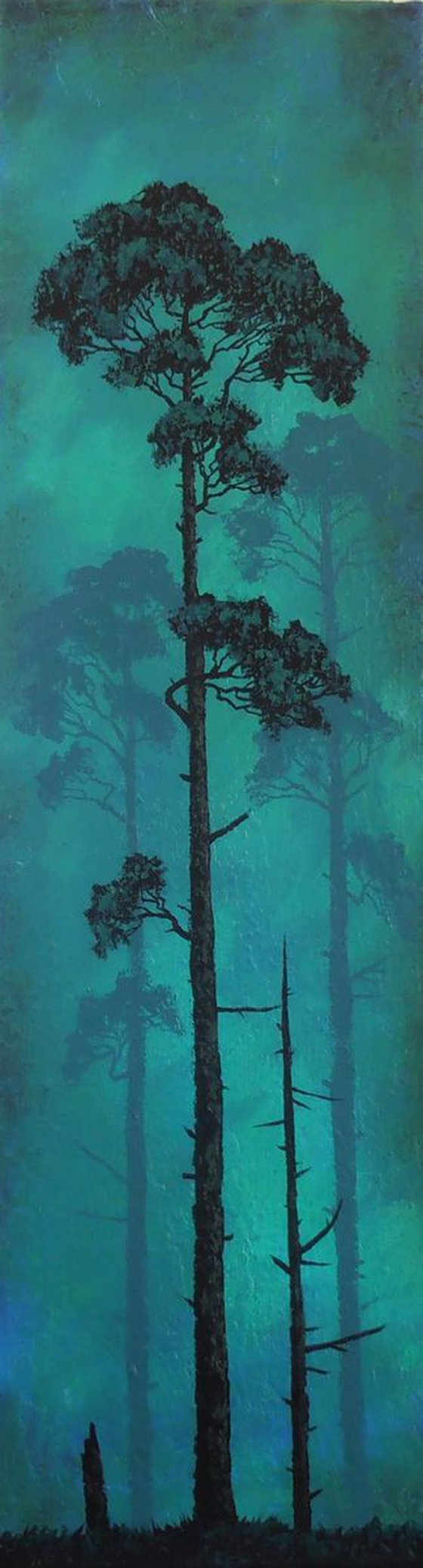 Illuminated Pine