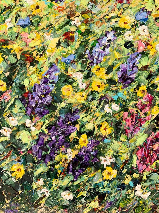 Field of blooming lupines