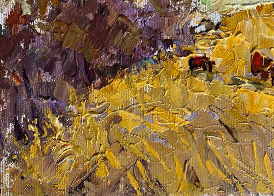 Autumn golden fields