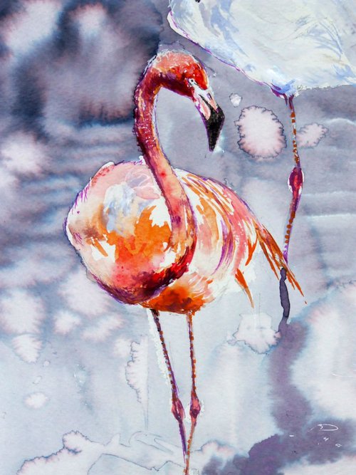 Birds / Flamingos by Anna Sidi-Yacoub