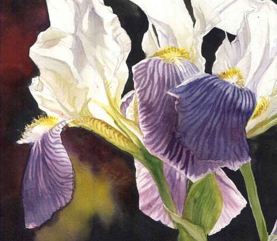 three irises
