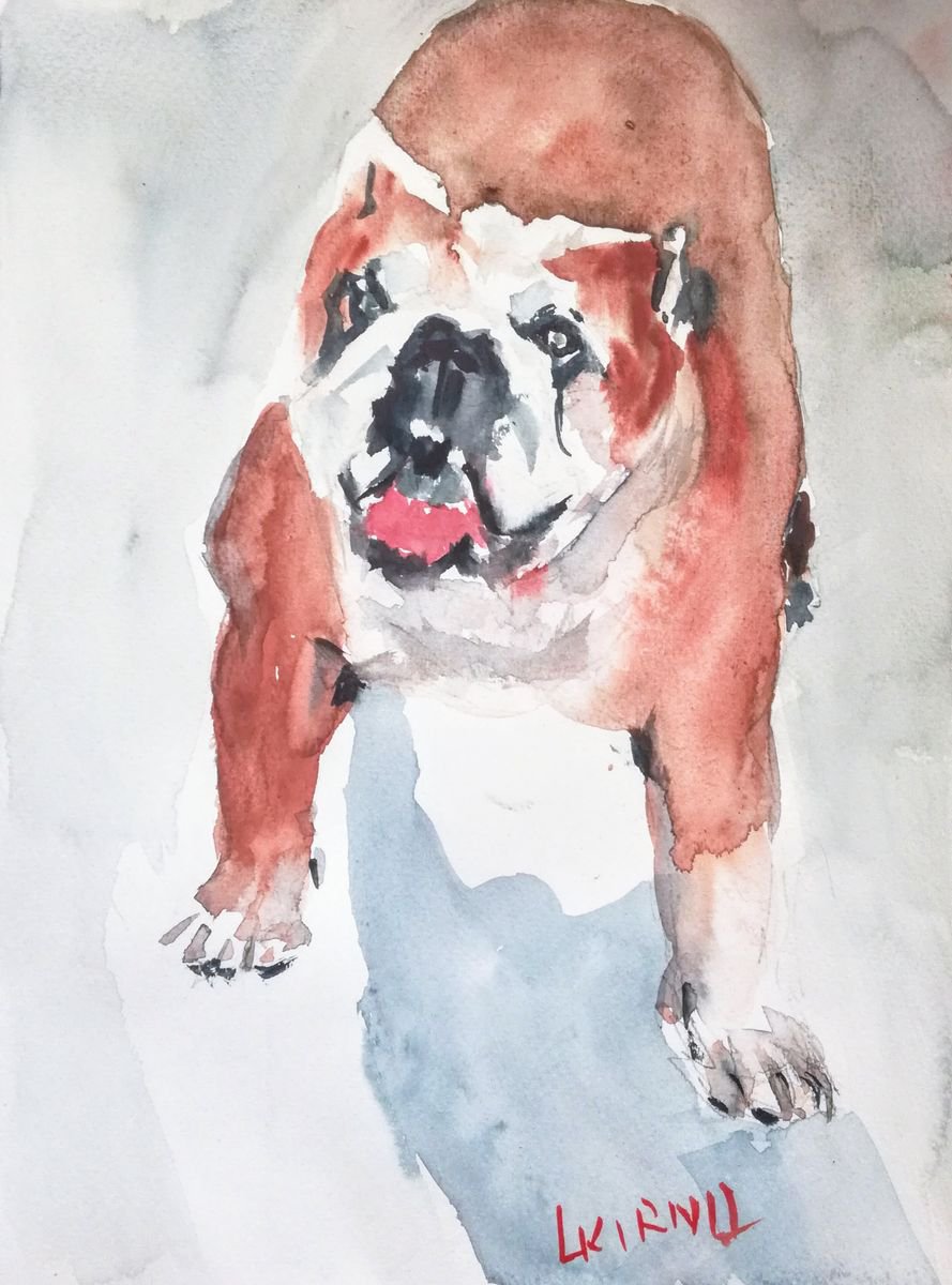 Impressionistic Animal Watercolour By Leonid Kirnus, 9 X 13", Betty The Bulldog 2, Original Artwork