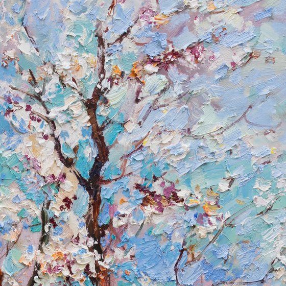 Flowering apricot tree Original oil painting