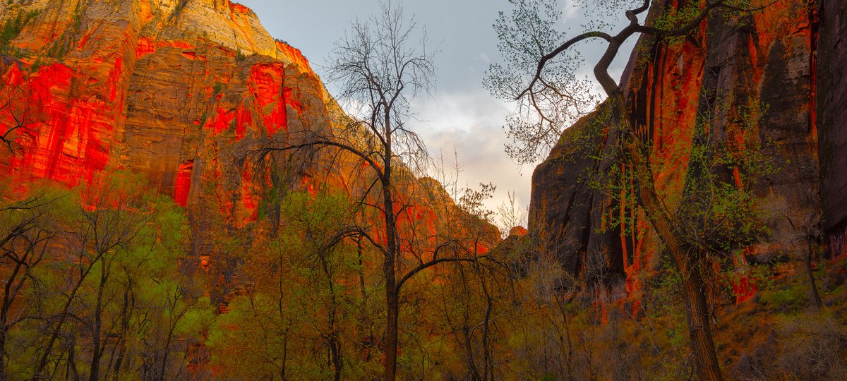 Zion by Nick Psomiadis