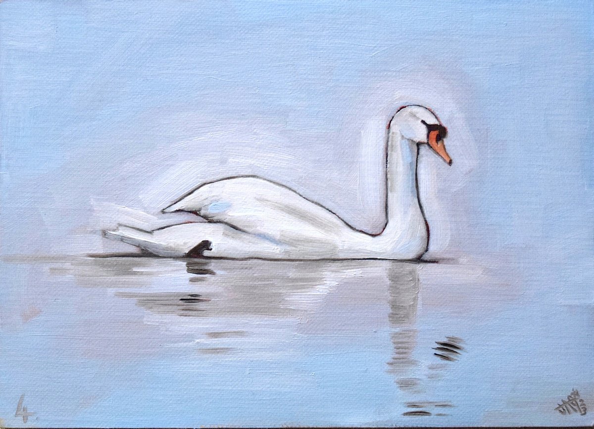 Swan Study Number 4 by Jem Gooding