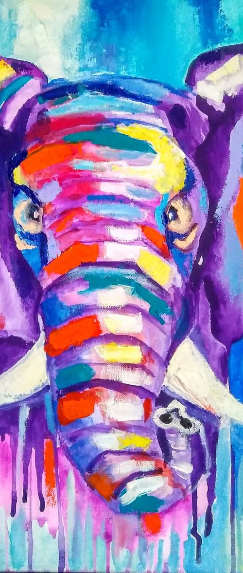 Colored elephant, 50x50 cm. by Yulia Berseneva