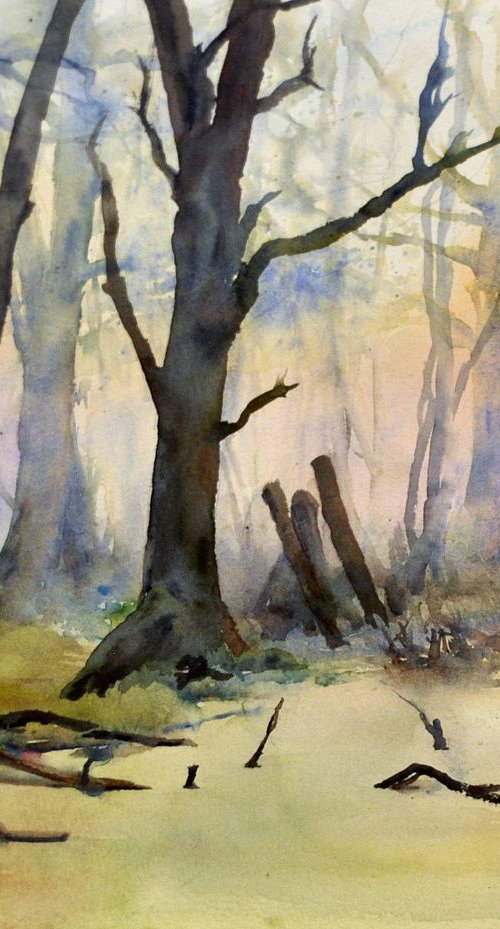 MARSH. EARLY MORNING original watercolour 40x32 cm by Beata van Wijngaarden