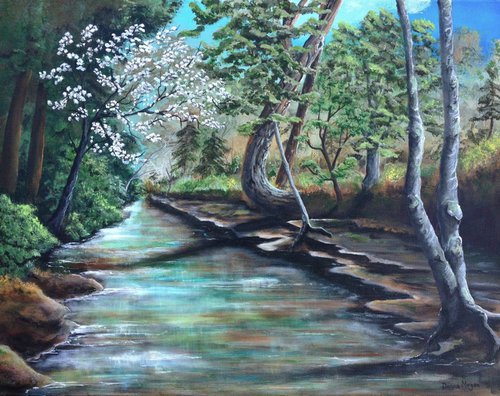 Dreaming of Spring: Brushy Fork Creek, Berea, Kentucky by Donna Daniels