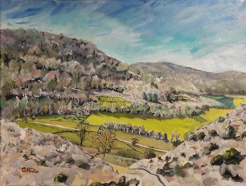 Lost Vineyard - Val de L'Abéou by Chris Walker