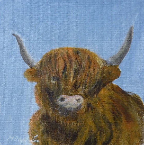 Hamish The Heilan' Coo.