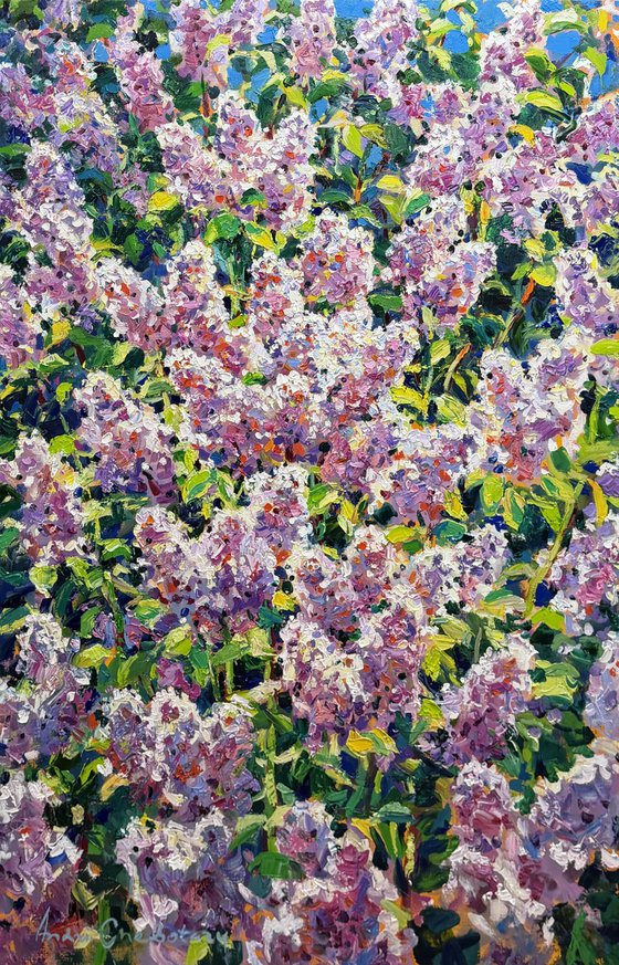 Breath of spring..
