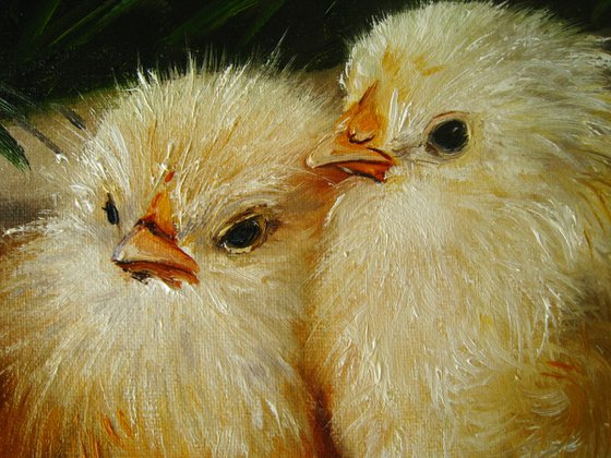 Two Fluffy Chicks