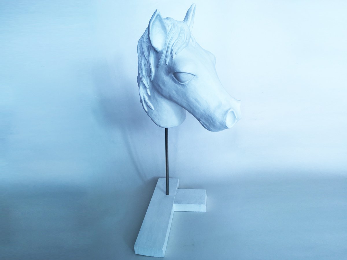 HORSE by Juan Isasa