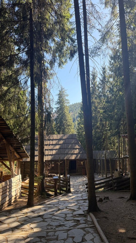 The Hunter's Cabin