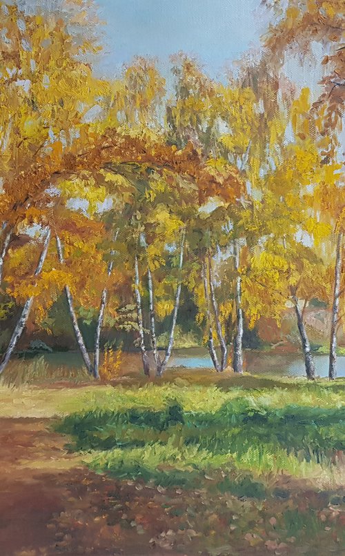 Golden autumn in a birch grove by Marina Rogusheva