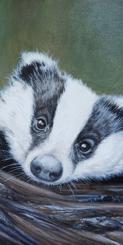 Peeping badger #2 12x10 inch £190 by Jayne Farrer