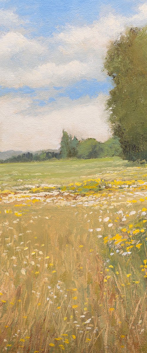 Summer Flowers 260204 by Don Bishop