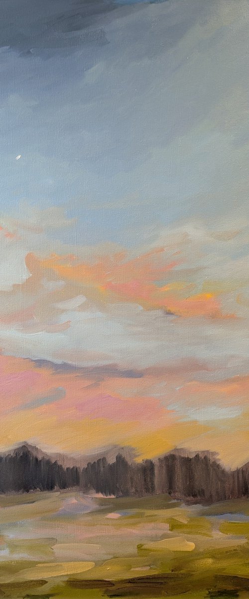 Glimmer by Lucy Fiona Morrison