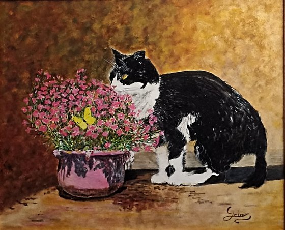 cat, flowers and butterfly