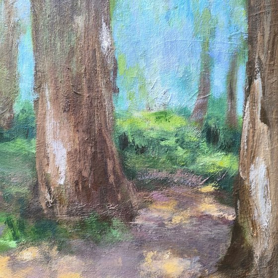 Linden alley. Summer