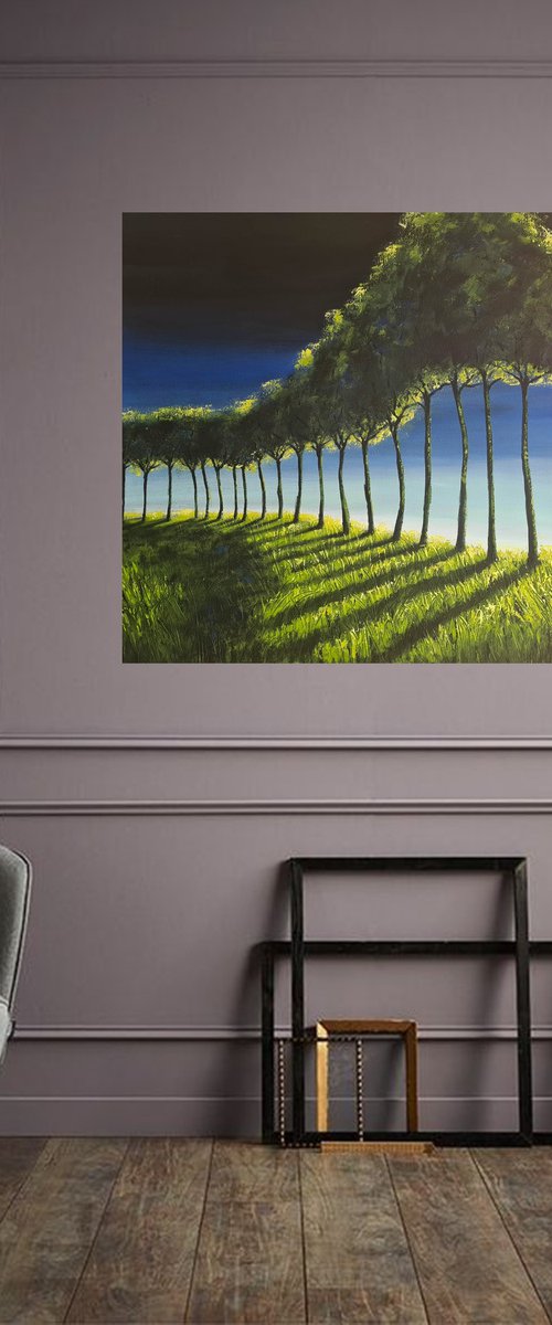The lines of sunrise -  Fields and Colors Series by Danijela Dan