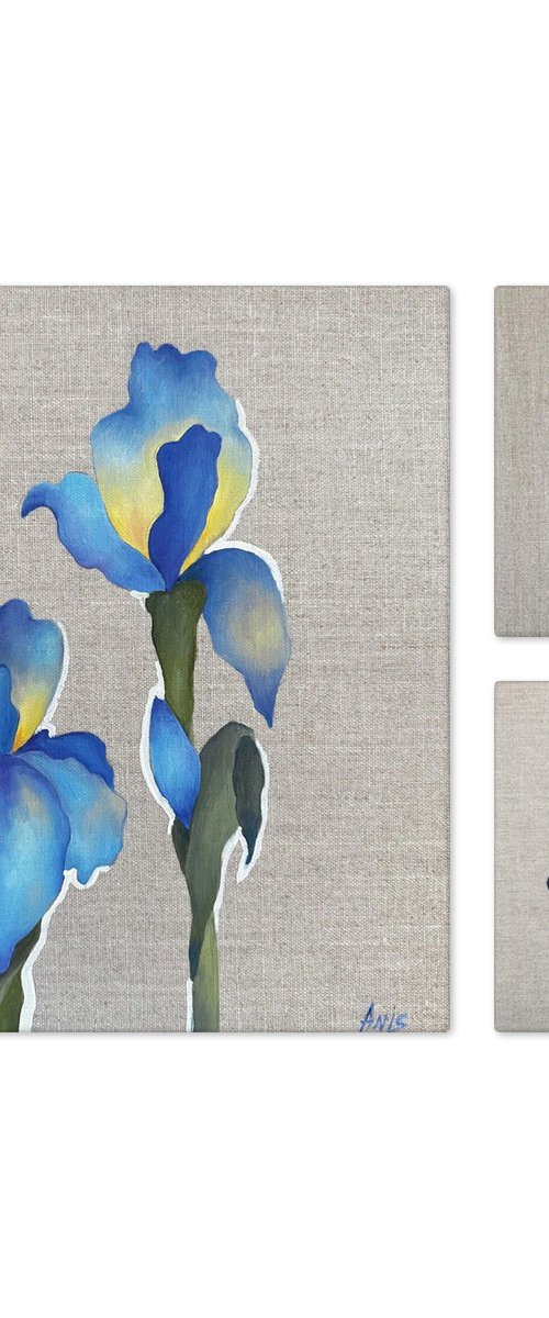 Velvet Irises, Set of 3 by Irina Anis