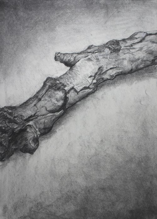 a Branch by John Fleck