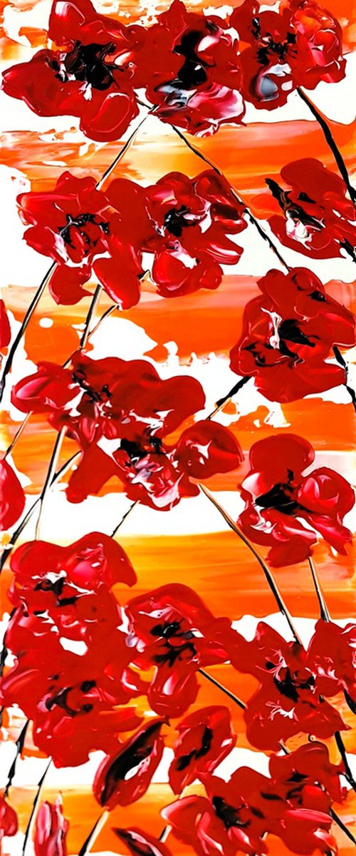 Poppy Songs by Daniel Urbaník
