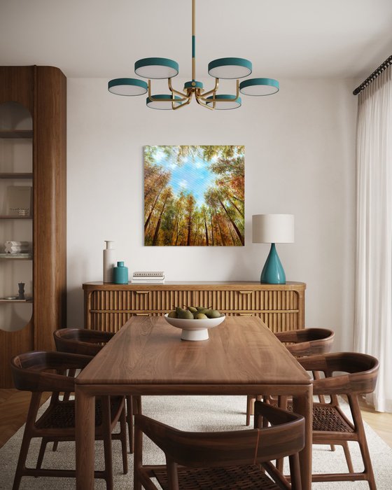 Where the Sky Begins