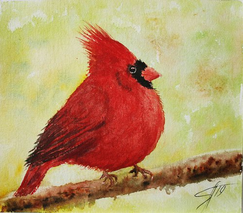 Cardinal by Salana Art Gallery