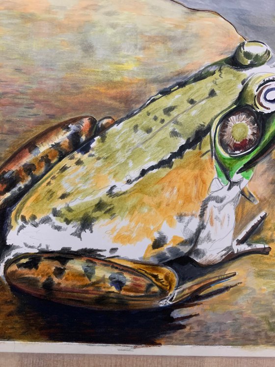 Basking frog