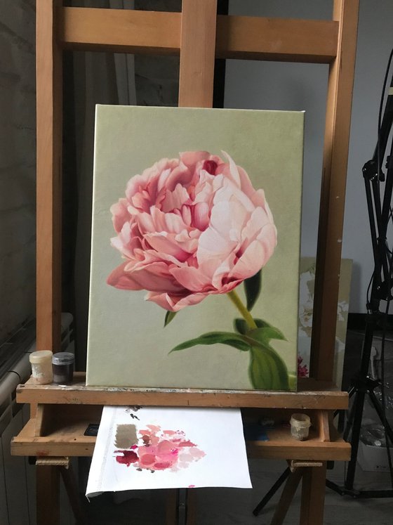 PINK PEONY