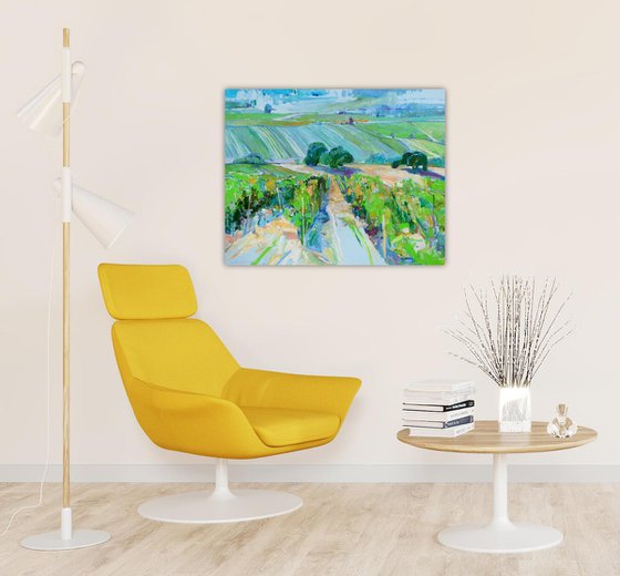 " Valley of vineyards"
