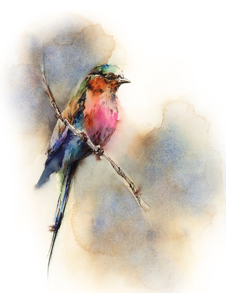 Impressionistic Animal Painting By Sophie Rodionov, 12 X 16", Lilac Throated Roller Bird, Original Artwork
